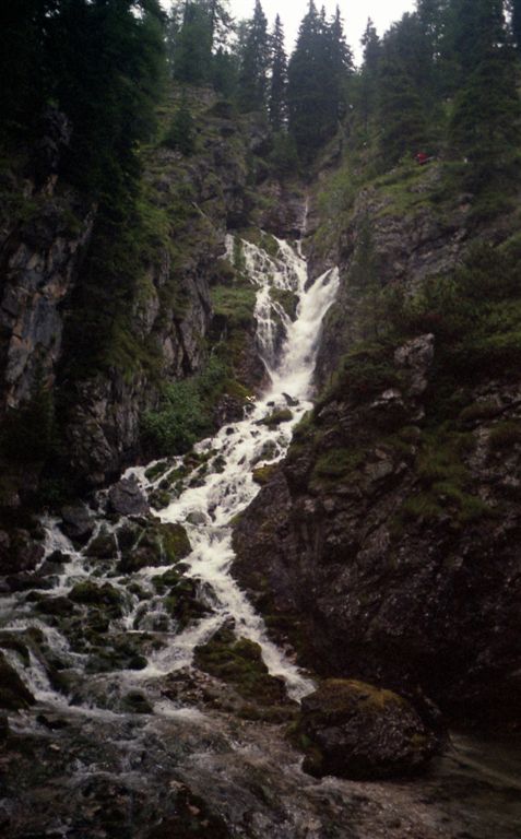 foto (231).jpg